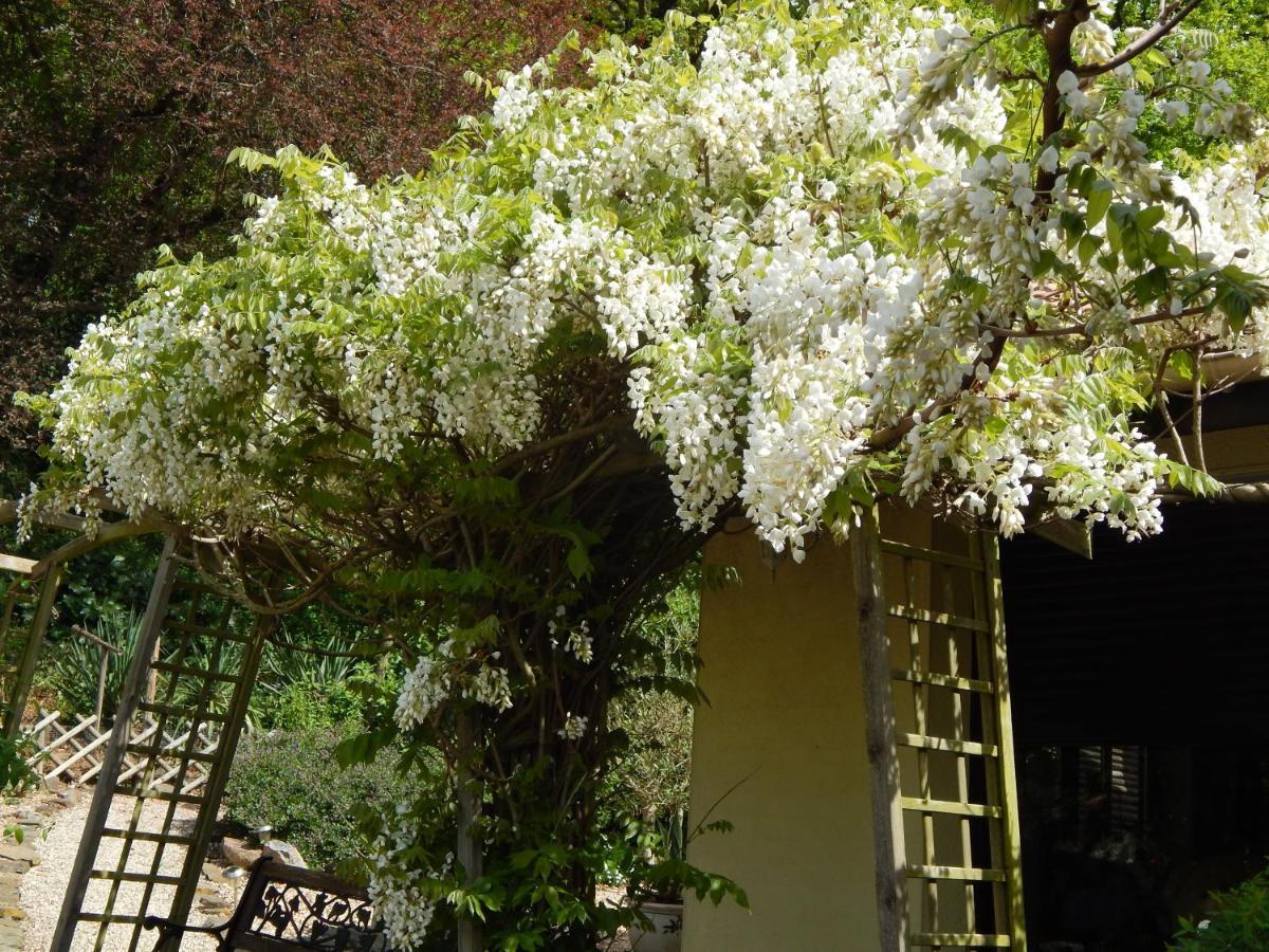 The Petite Chalet Chambre D'Hotes L'Isle-Jourdain  Esterno foto