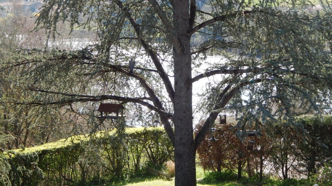 The Petite Chalet Chambre D'Hotes L'Isle-Jourdain  Esterno foto