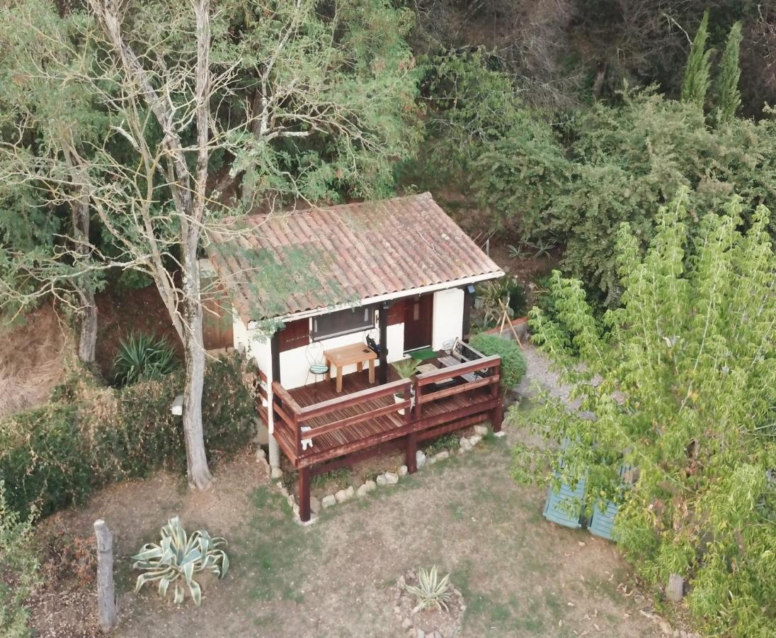 The Petite Chalet Chambre D'Hotes L'Isle-Jourdain  Esterno foto